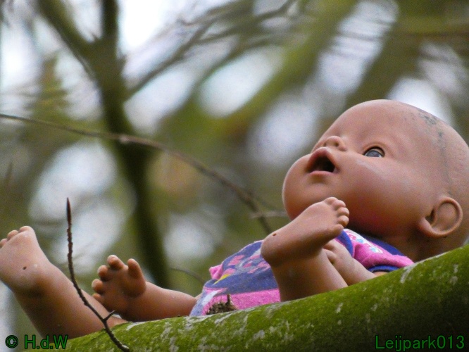 20 &amp; 21 &amp; 22 &amp; 23 december 2024