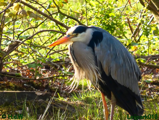 19 &amp; 20 &amp; 21 &amp; 22 maart 2025