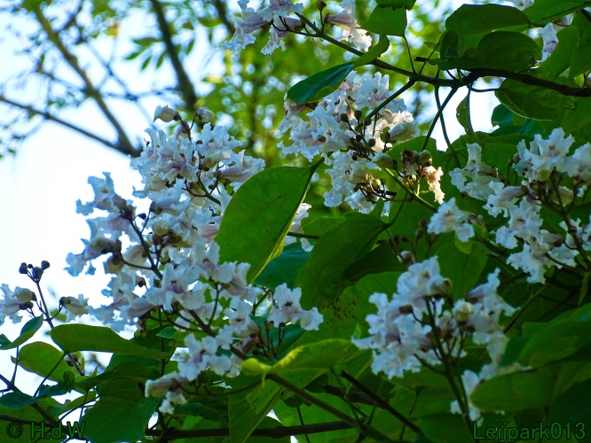 27 &amp; 28 &amp; 29 &amp; 30 juni 2024