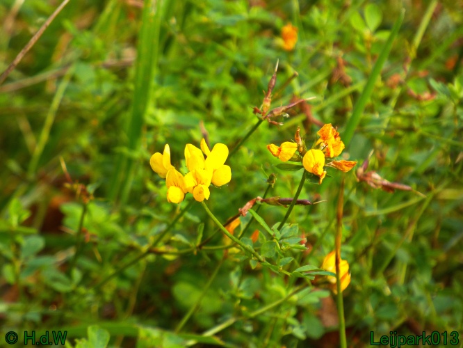 21 &amp; 22 &amp; 23 &amp; 24 oktober 2024