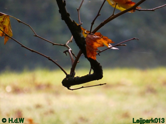 30 november &amp; 1 &amp; 2 &amp; 3 december 2024