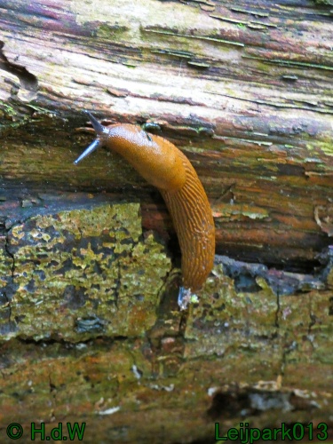 10 &amp; 11 &amp; 12 &amp; 13 augustus 2024