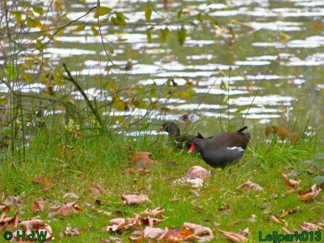 21 &amp; 22 &amp; 23 &amp; 24 oktober 2024