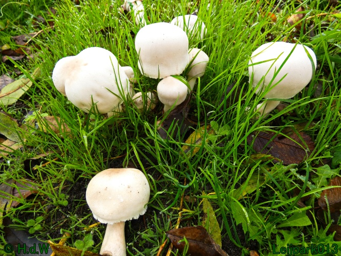 2 &amp; 3 &amp; 4 &amp; 5 November 2024