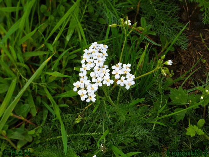 28 &amp; 29 &amp; 30 &amp; 31 oktober 2025