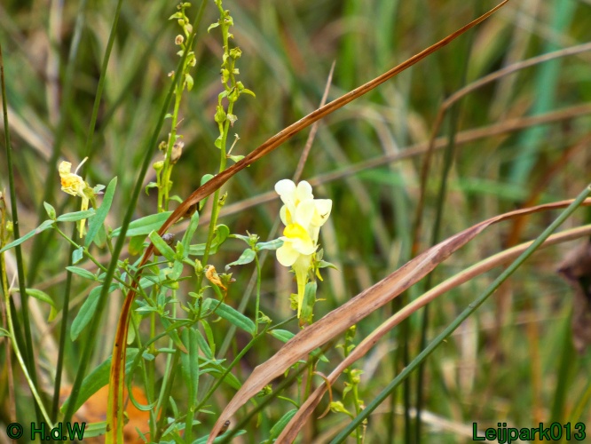 21 &amp; 22 &amp; 23 &amp; 24 oktober 2024