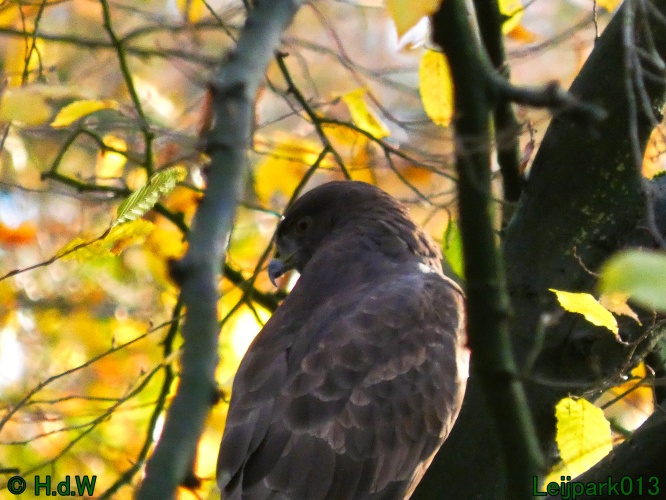 18 &amp; 19 &amp; 20 &amp; 21 november 2024