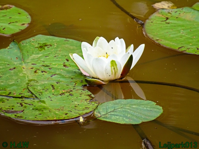 5 &amp; 6 &amp; 7 &amp; 8 juli 2024