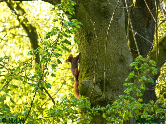 19 &amp; 20 &amp; 21 &amp; 22 maart 2025