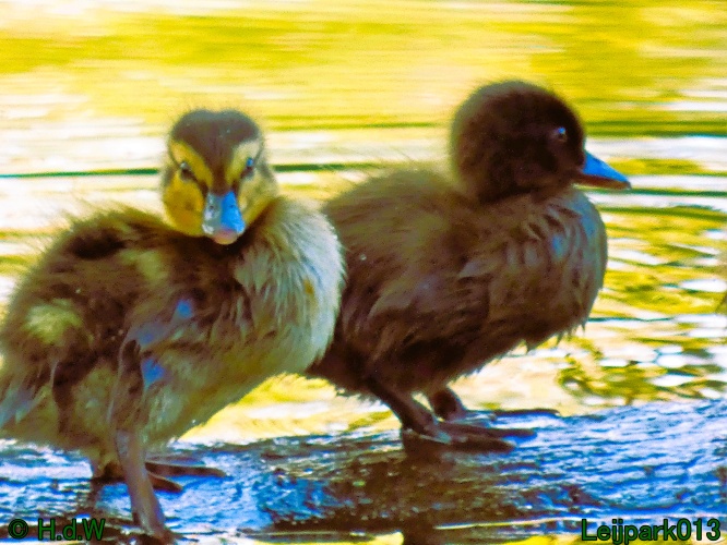 19 &amp; 20 &amp; 21 &amp; 22 maart 2025