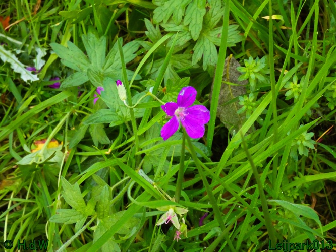 1 &amp; 2 &amp; 3 &amp; 4 oktober 2025