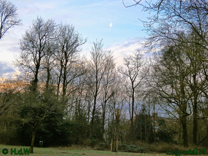 21 &amp; 22 &amp; 23 &amp; 24 januari 2025