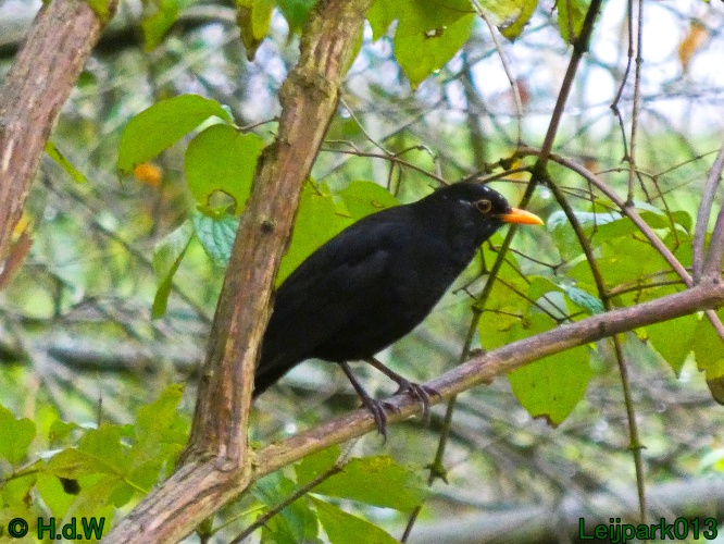 22 &amp; 23 &amp; 24 &amp; 25 november 2024