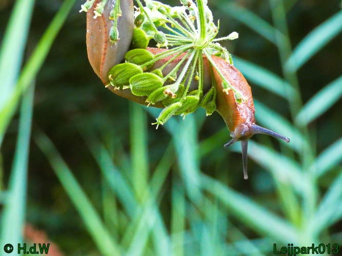 10 &amp; 11 &amp; 12 &amp; 13 augustus 2024