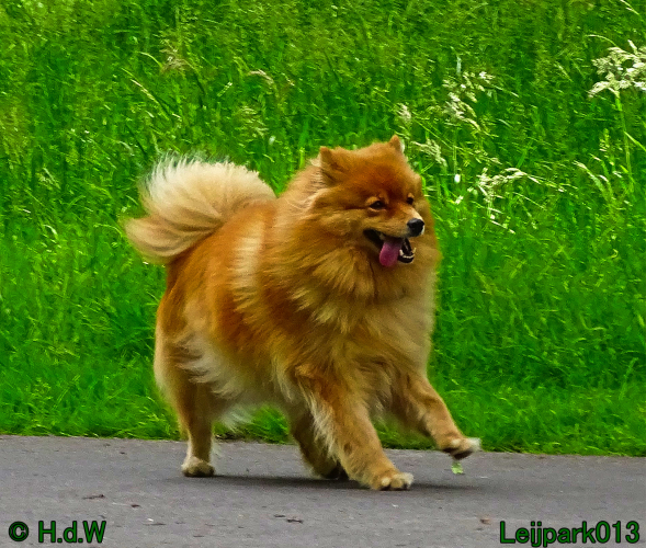 Beestenboel 7 juni 2024