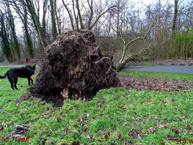 Storm terug in de tijd