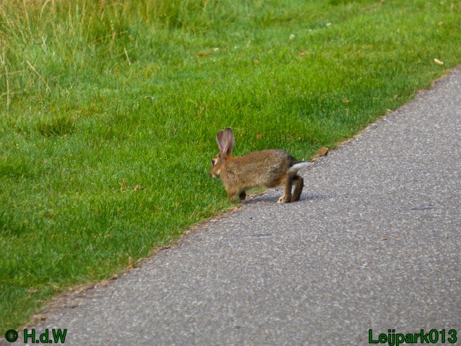 10 &amp; 11 &amp; 12 &amp; 13 augustus 2024