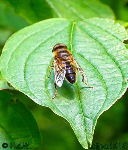 27 &amp; 28 &amp; 29 &amp; 30 juni 2024