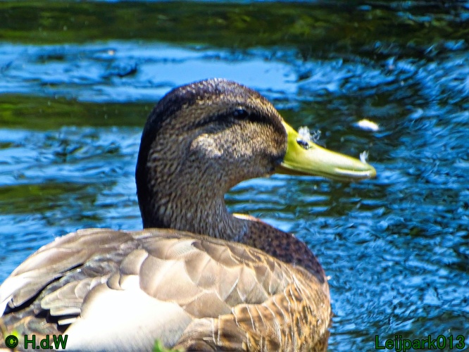 25 &amp; 26 &amp; 27 &amp; 28 juli 2024