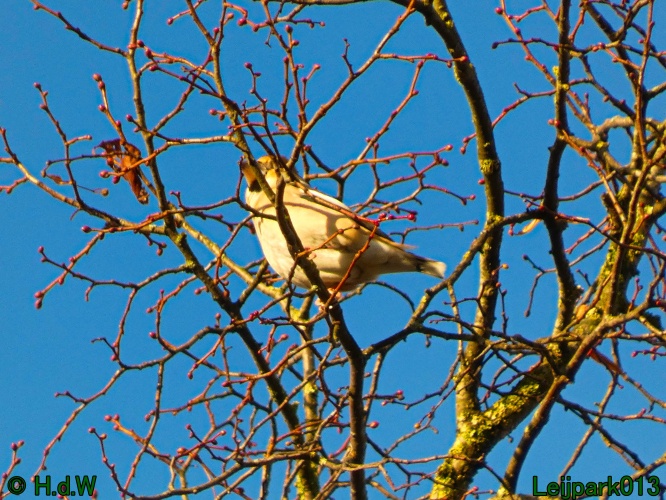 18 &amp; 19 &amp; 20 &amp; 21 november 2024