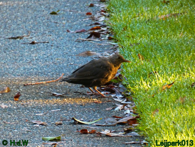 1 &amp; 2 &amp; 3 &amp; 4 oktober 2024