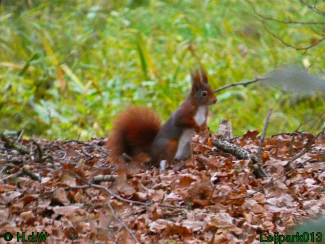 20 &amp; 21 &amp; 22 &amp; 23 december 2024