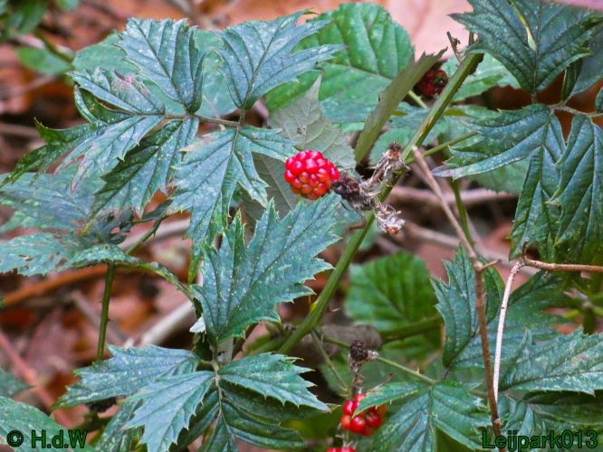 20 &amp; 21 &amp; 22 &amp; 23 december 2024