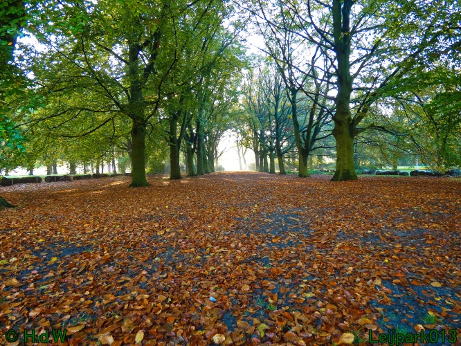 2 &amp; 3 &amp; 4 &amp; 5 November 2024