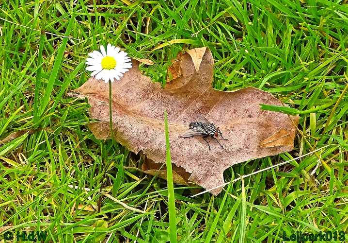 29 &amp; 30 &amp; 31 juli &amp; 1 augustus 2024