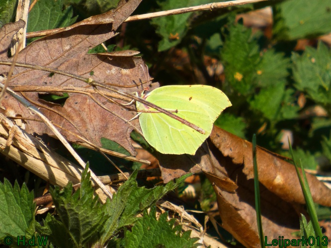 3 &amp; 4 &amp; 5 &amp; 6 april 2025