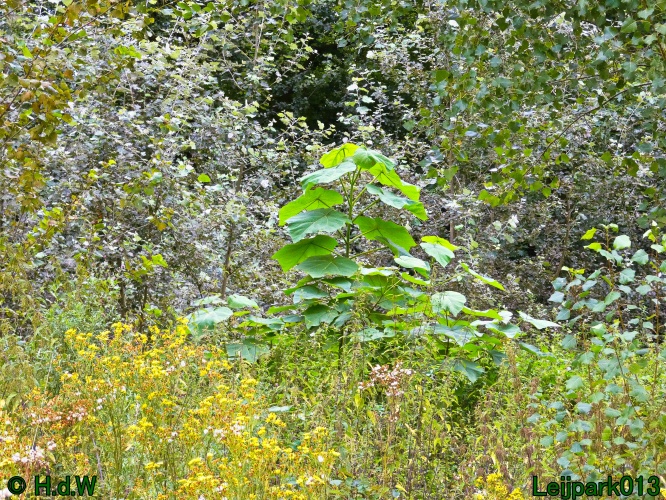 22 &amp; 23 &amp; 24 &amp; 25 augustus 2024