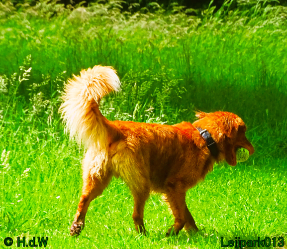 Beestenboel 7 juni 2024