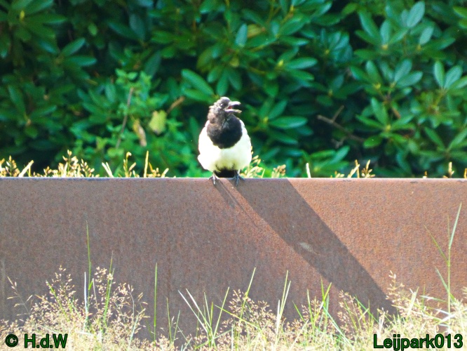 10 &amp; 11 &amp; 12 &amp; 13 augustus 2024