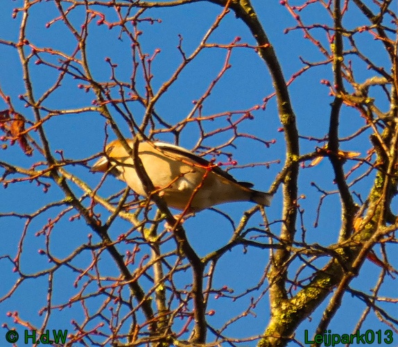 18 &amp; 19 &amp; 20 &amp; 21 november 2024