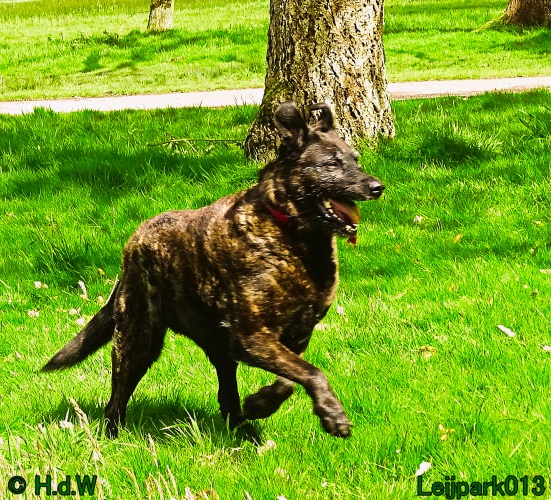 Beestenboel 12 mei 2024