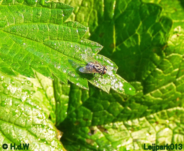 22 &amp; 23 &amp; 24 &amp; 25 augustus 2024