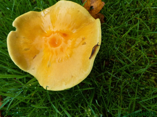 21 &amp; 22 &amp; 23 &amp; 24 oktober 2024