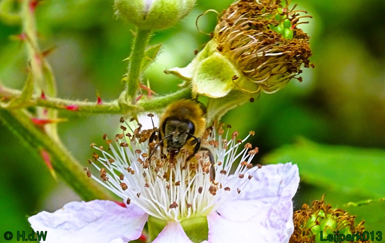 11 &amp; 12 &amp; 13 &amp; 14 juni 2024