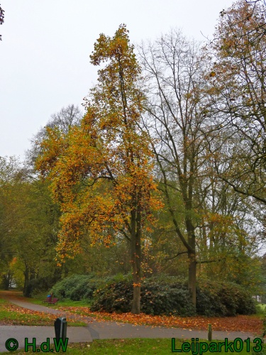 10 &amp; 11 &amp; 12 &amp; 13 november 2024