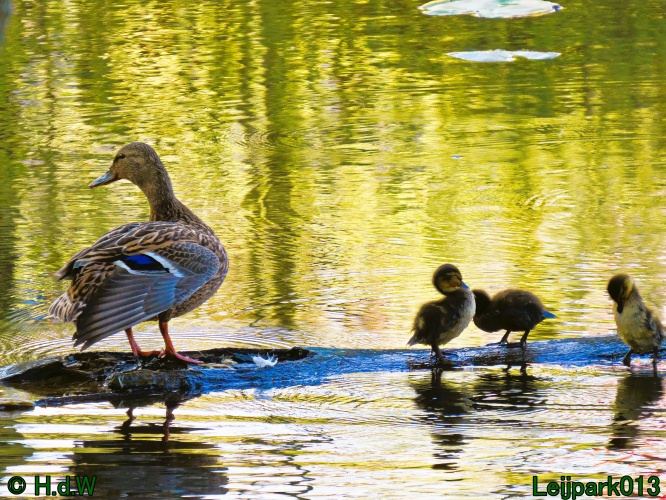 19 &amp; 20 &amp; 21 &amp; 22 maart 2025