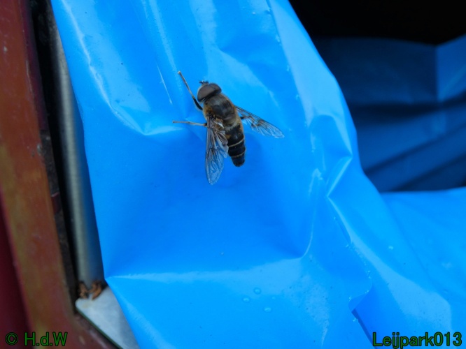 22 &amp; 23 &amp; 24 &amp; 25 augustus 2024