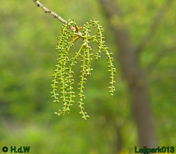 19 &amp; 20 &amp; 21 &amp; 22 maart 2025