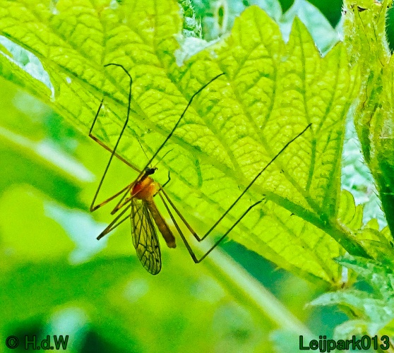 30 april 1 &amp; 2 &amp; 3 mei 2024