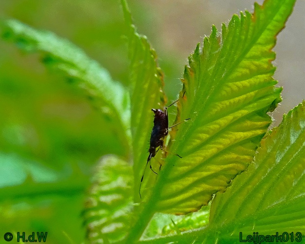 27 &amp; 28 &amp; 29 &amp; 30 juni 2024