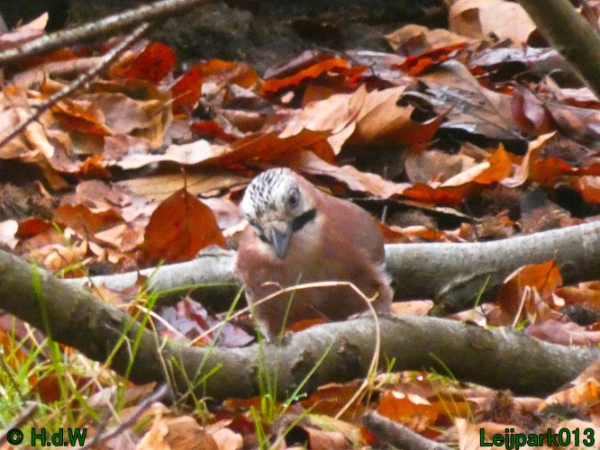 21 &amp; 22 &amp; 23 &amp; 24 januari 2025