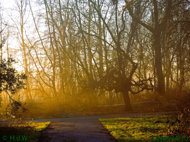 13 januari Mist en zon