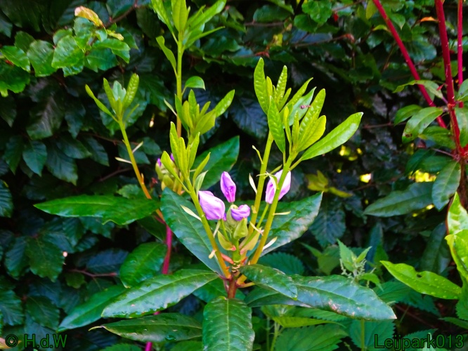 25 &amp; 26 &amp; 27 &amp; 28 juli 2024