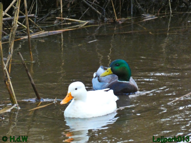 1 &amp; 2 &amp; 3 &amp; 4 januari 2025