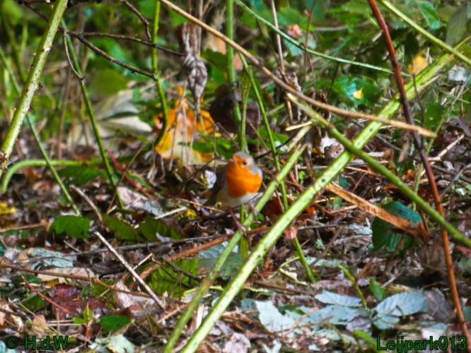 1 &amp; 2 &amp; 3 &amp; 4 oktober 2025