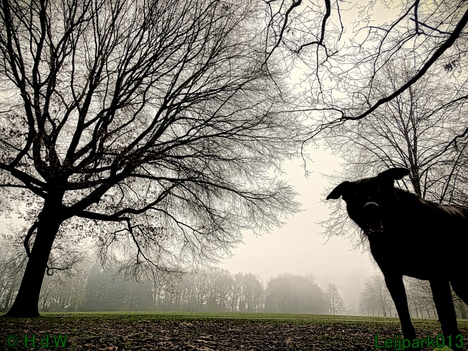 21 &amp; 22 &amp; 23 &amp; 24 januari 2025